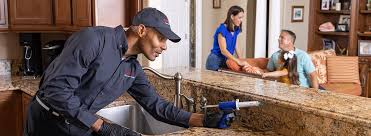 Emergency Pest Control in Sutter Creek, CA