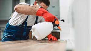 Best Residential Pest Control  in Sutter Creek, CA